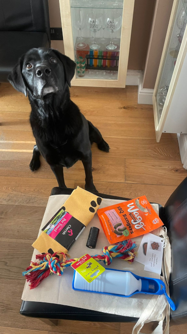 Dog with one of our Pet Goody bags
