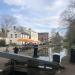 The Shroppie Fly